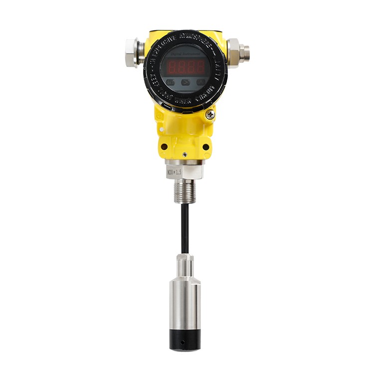 Level Sensor With Display